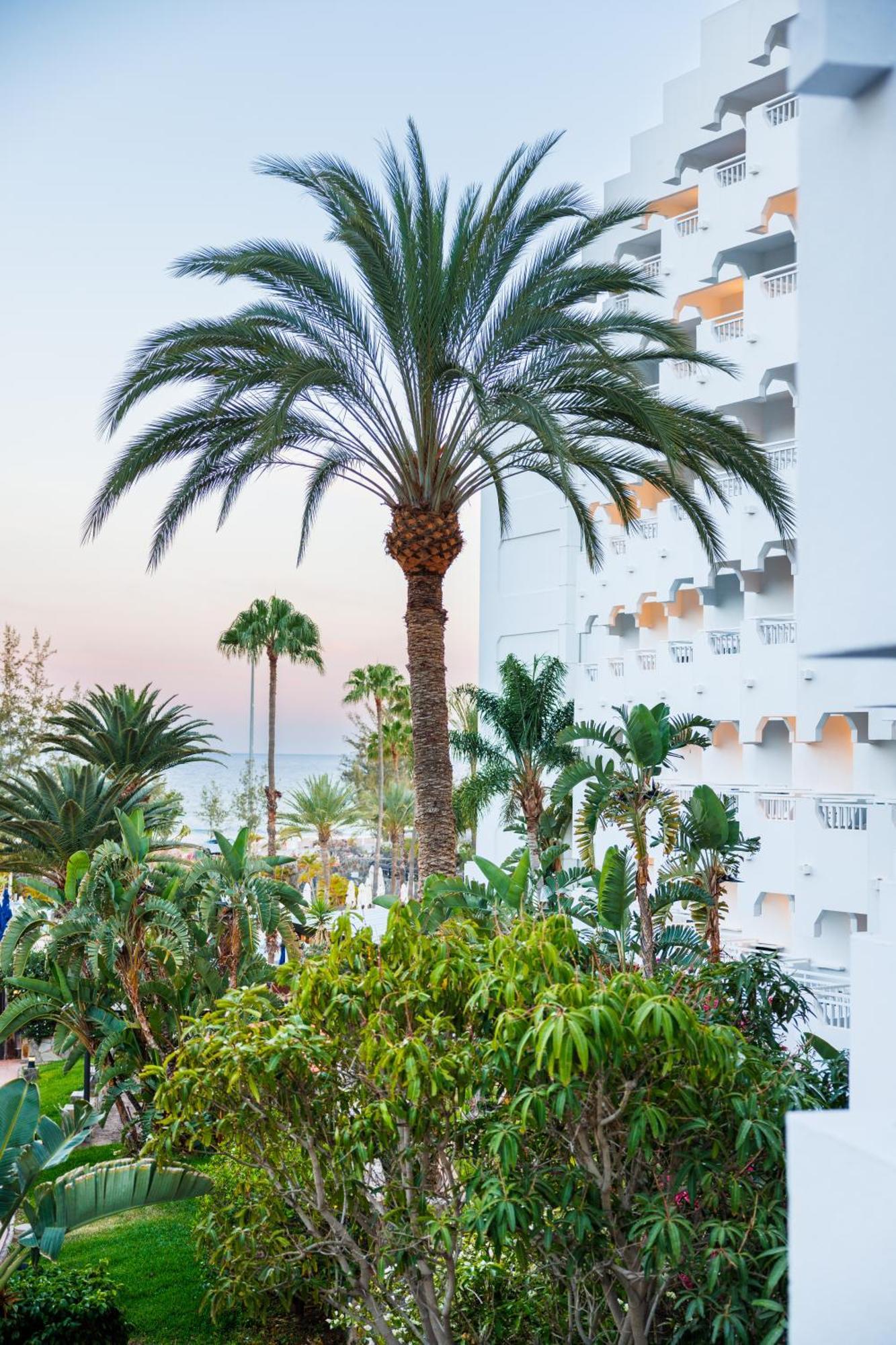 Hapimag San Agustin Apart otel Dış mekan fotoğraf